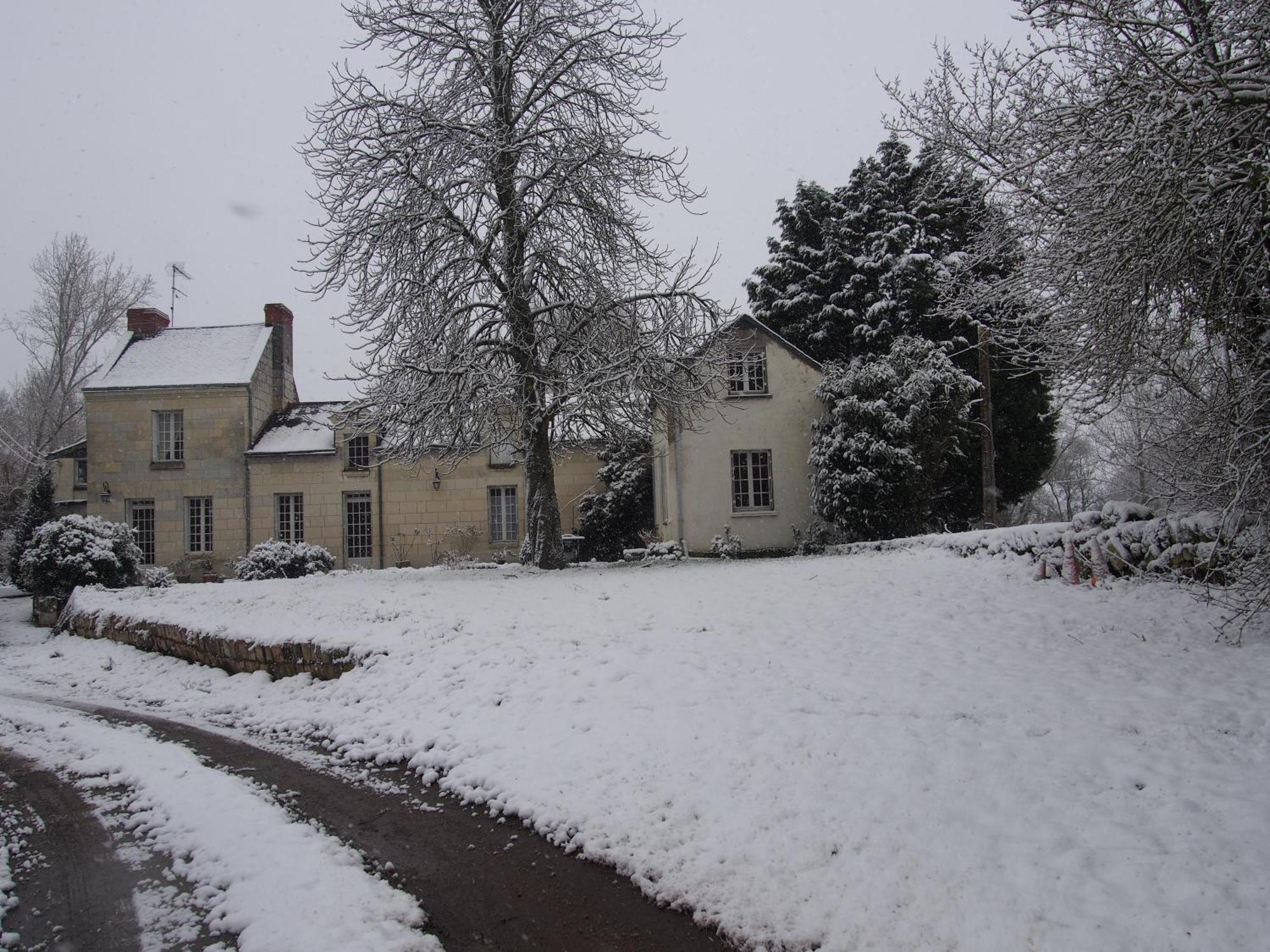 Chambres D'Hotes De L'Ile Du Saule Saumur Exterior foto